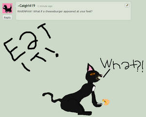 Ravenpaw likes cheesebugers