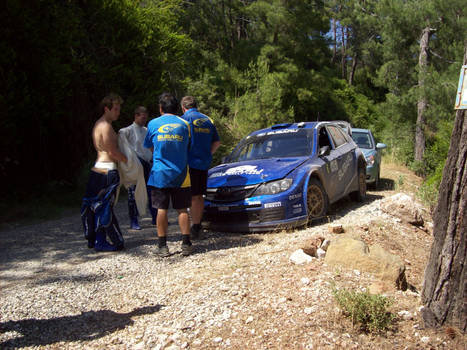 29wrc2008