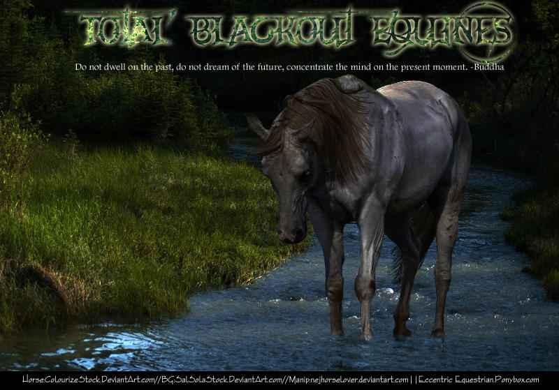 Total Blackout Equines