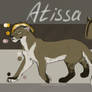 Atissa Reference Sheet