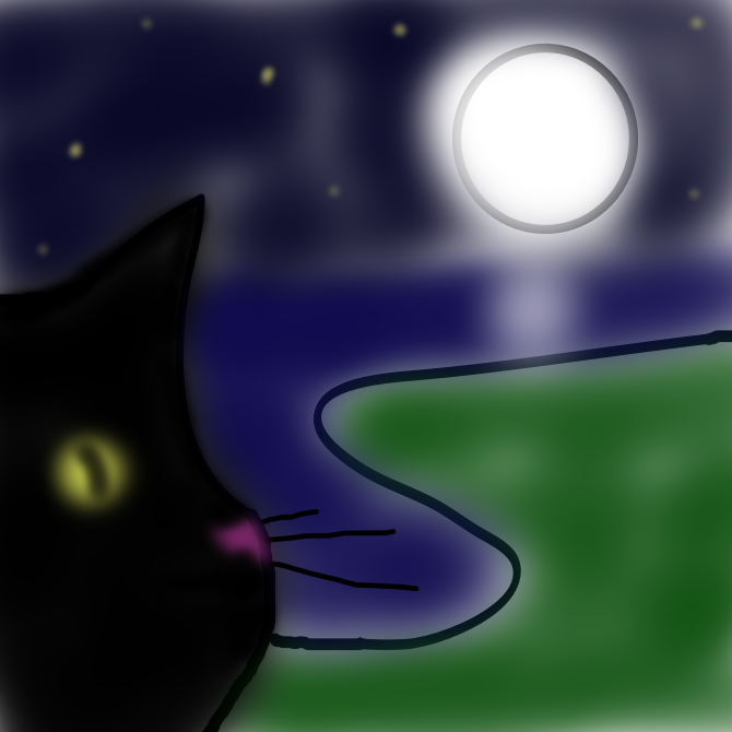 Cat at midnight