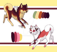 Angel shiba's - close -