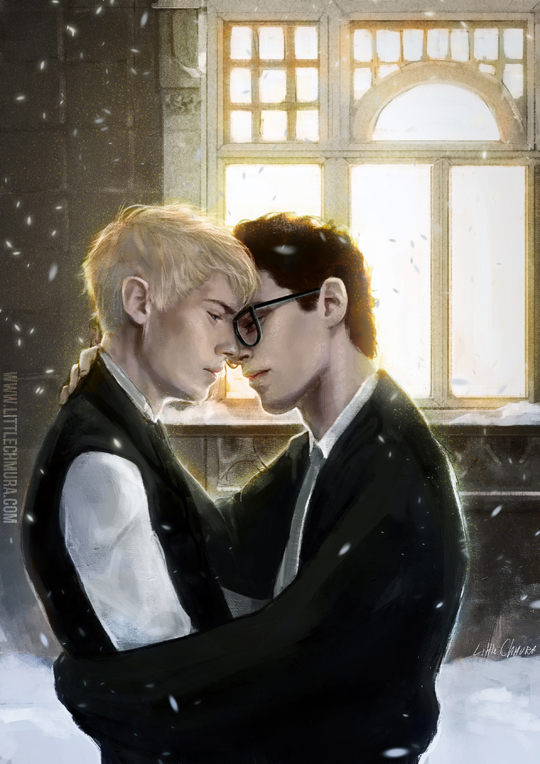 Harry Potter: Christmas Drarry