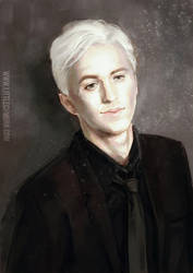 Hot Villains: Harry Potter - Draco Malfoy