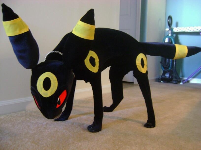 Real Life Umbreon by leafeon-ex