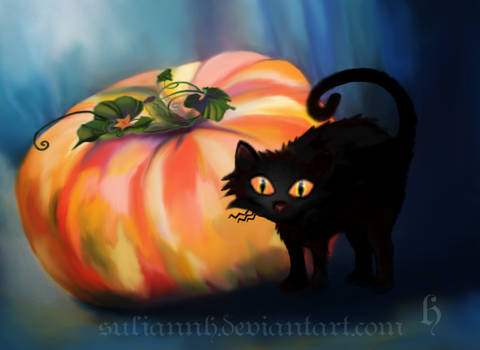 Halloween Pumpkin and Cat