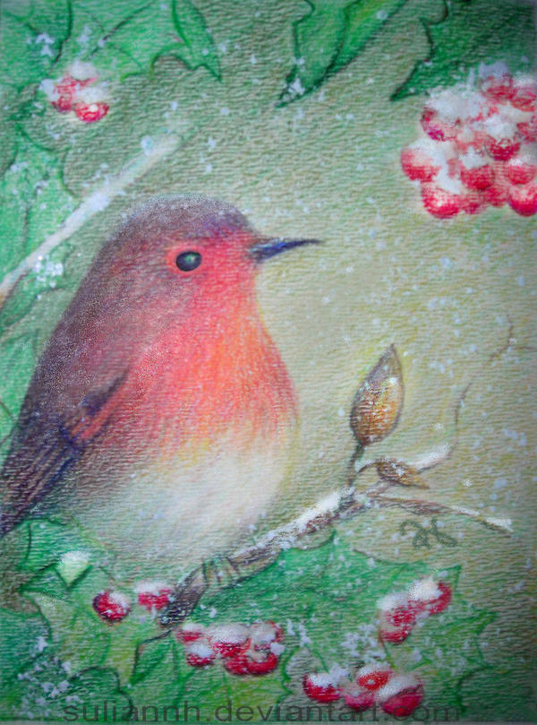 Winter Woodland Robin