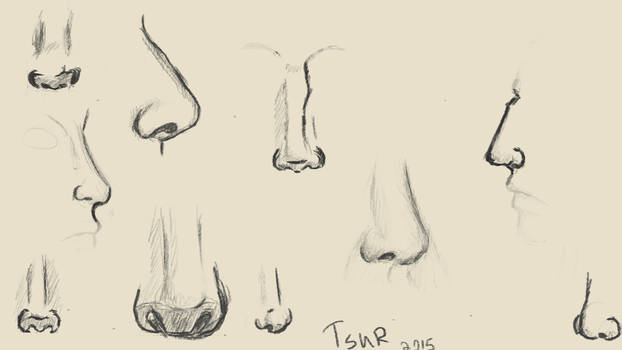 Noses