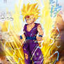 SON GOHAN