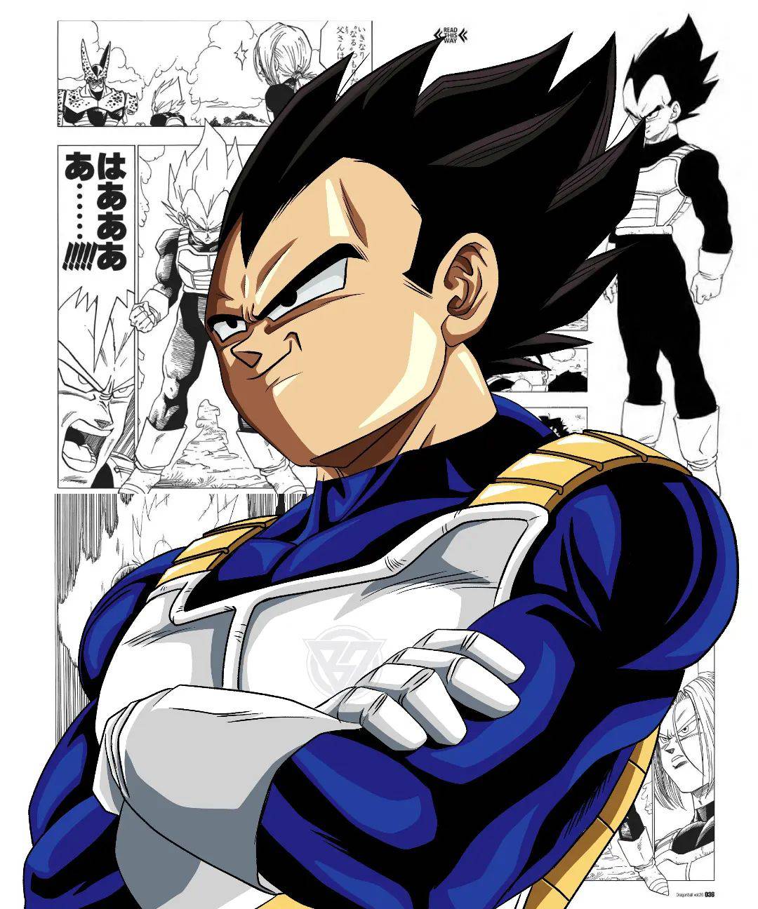 vegeta prince saiyajins by naironkr on DeviantArt