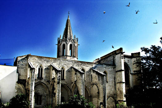 Cathedral in Avignon