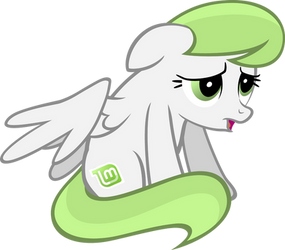 Linux Mint Pony 5