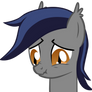 Echo the Bat Pony 8