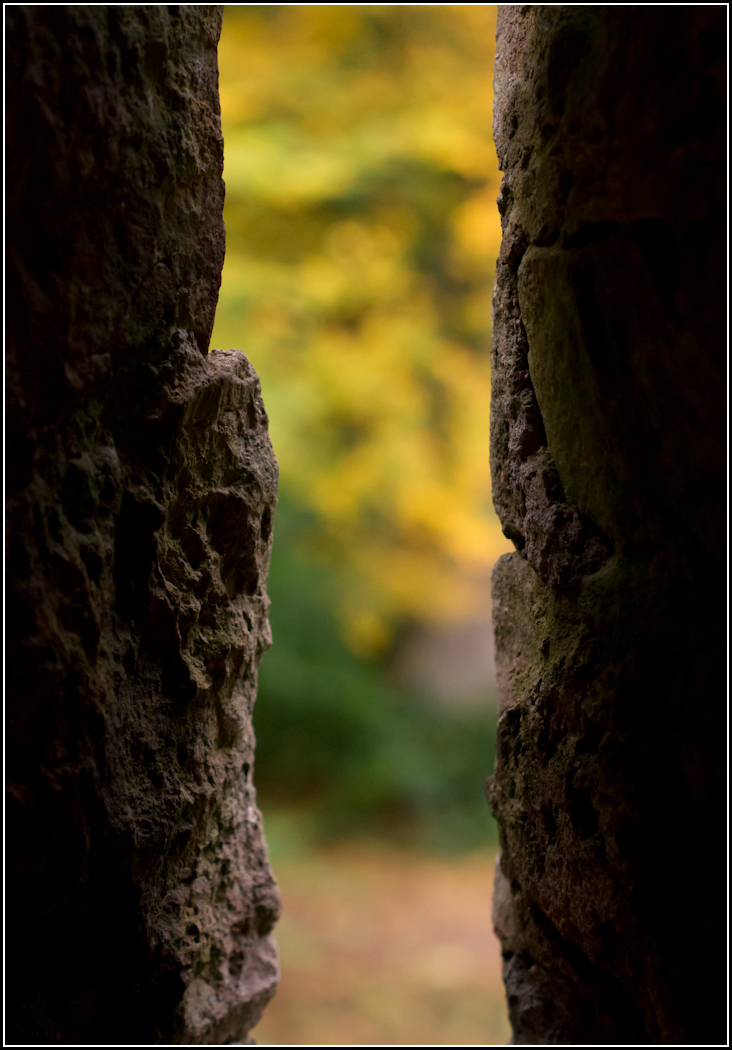 Autumn View