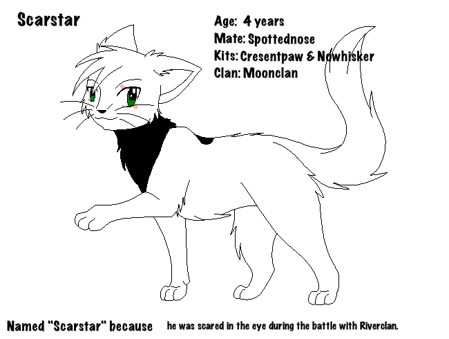 Scarstar of Moonclan