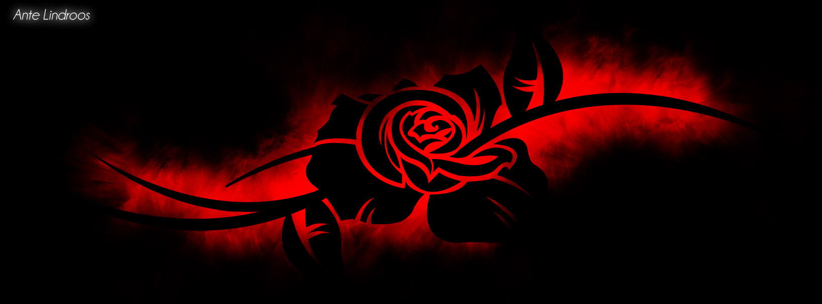 Red Rose