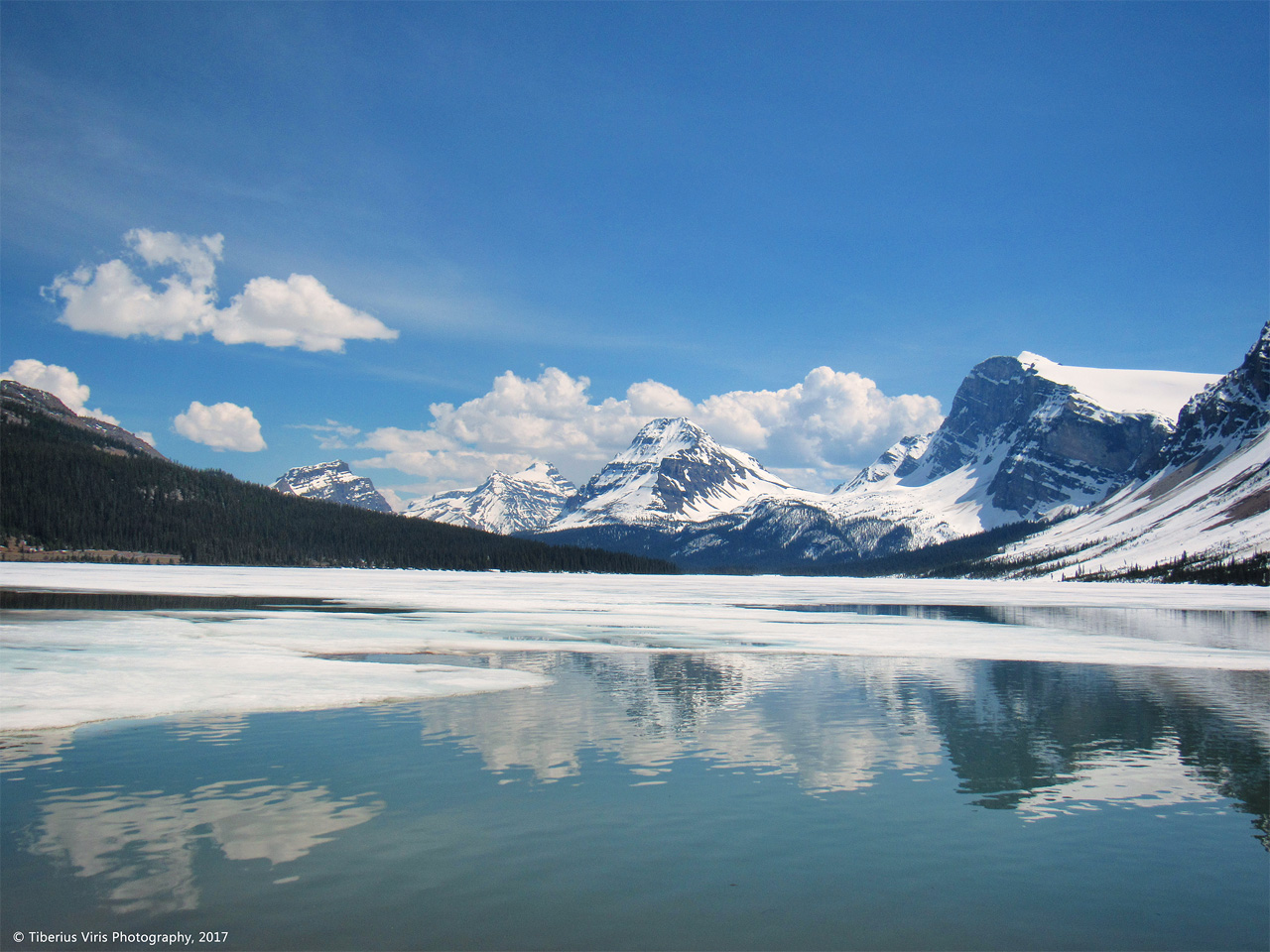 Bow Lake - Frozen