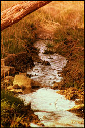 Small pond on a ranch By Ethan Kramer V.1