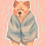 warm chow chow