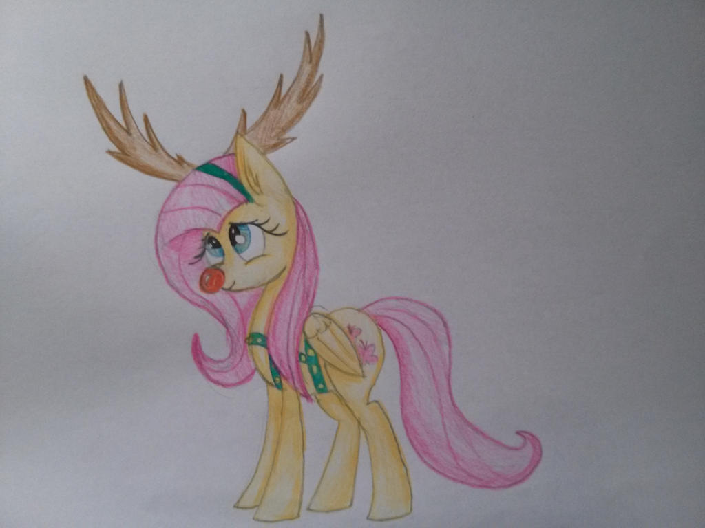 Fluttershy the Raindeer