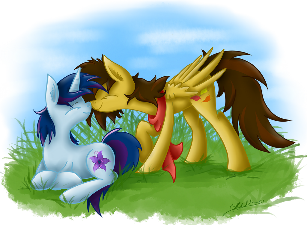 Awwwww by Hilis Awwwww by Hilis