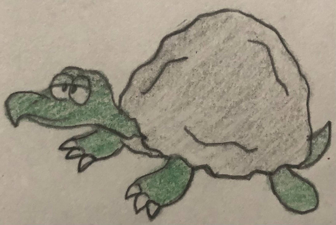 Rock-Shelled Turtle by JJSponge120 on DeviantArt