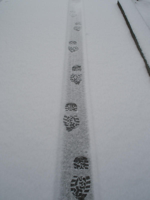 This Icy Path by vamp-princess667 on DeviantArt