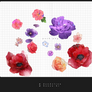 Pack Flowers1 13 Png