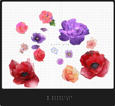 Pack Flowers1 13 Png