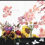 Pack Flowers2 12 Png