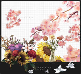 Pack Flowers2 12 Png