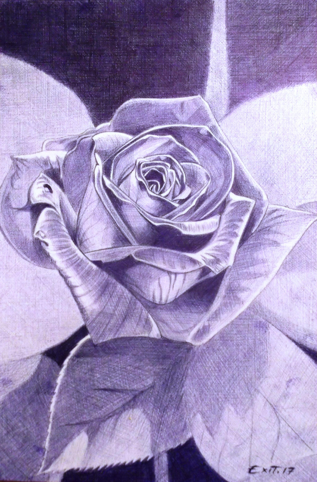 Rose II