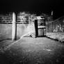 Pinhole coke and banana
