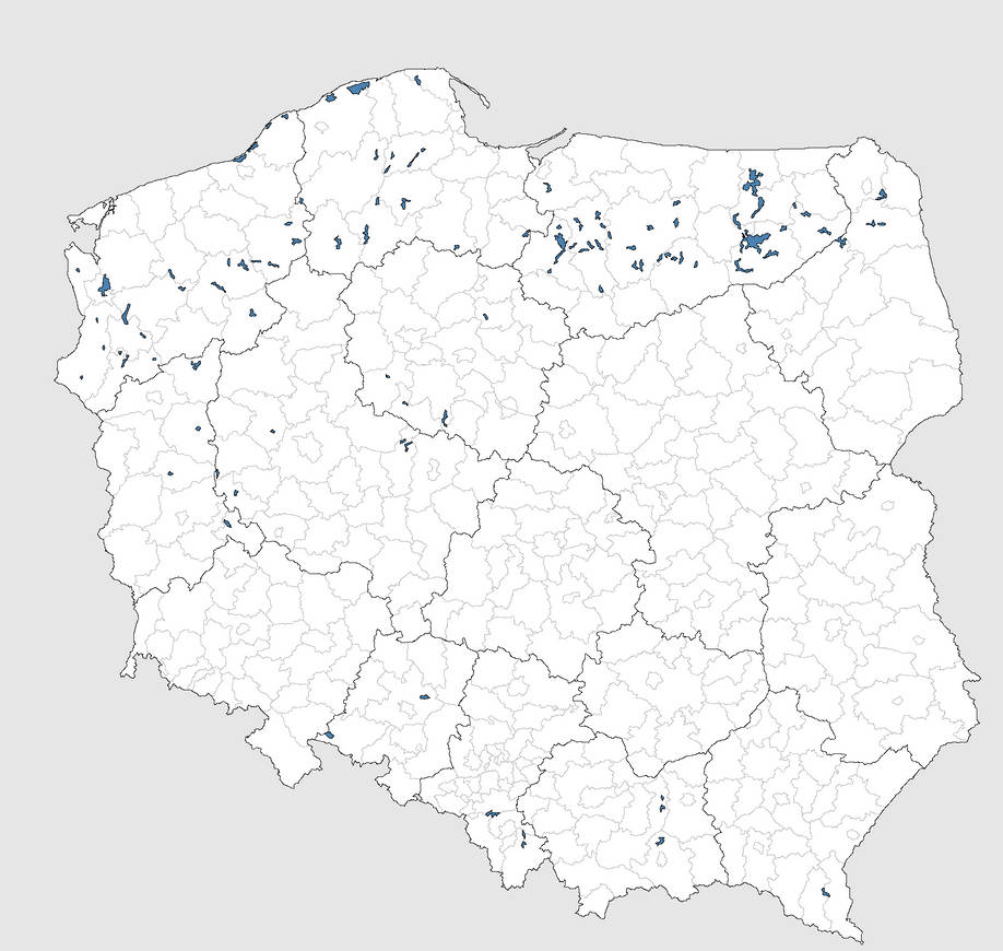 Poland Map Blank By NewGermanMapper2019 On DeviantArt