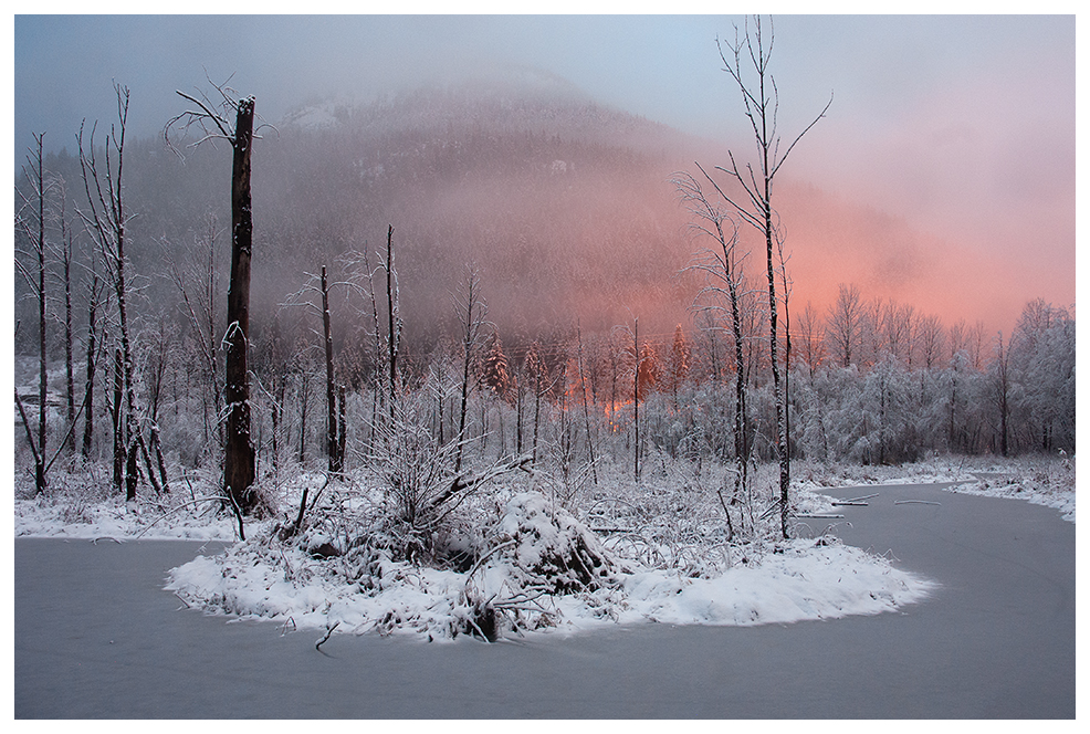 Morning Snowfall