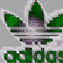 adidas green logo