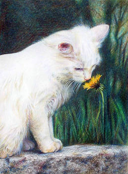 Cat with Flower