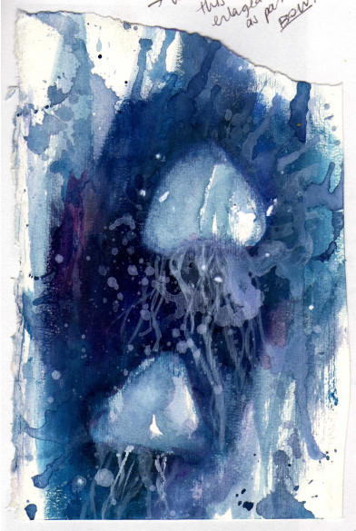 Jellyfish