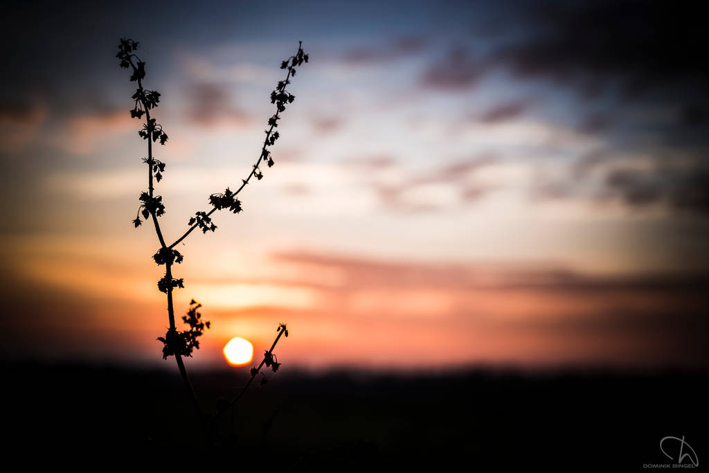 Calmness by DominikBingel