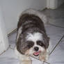 My Best Friend