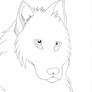 ID-WIP