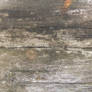 Old Wood