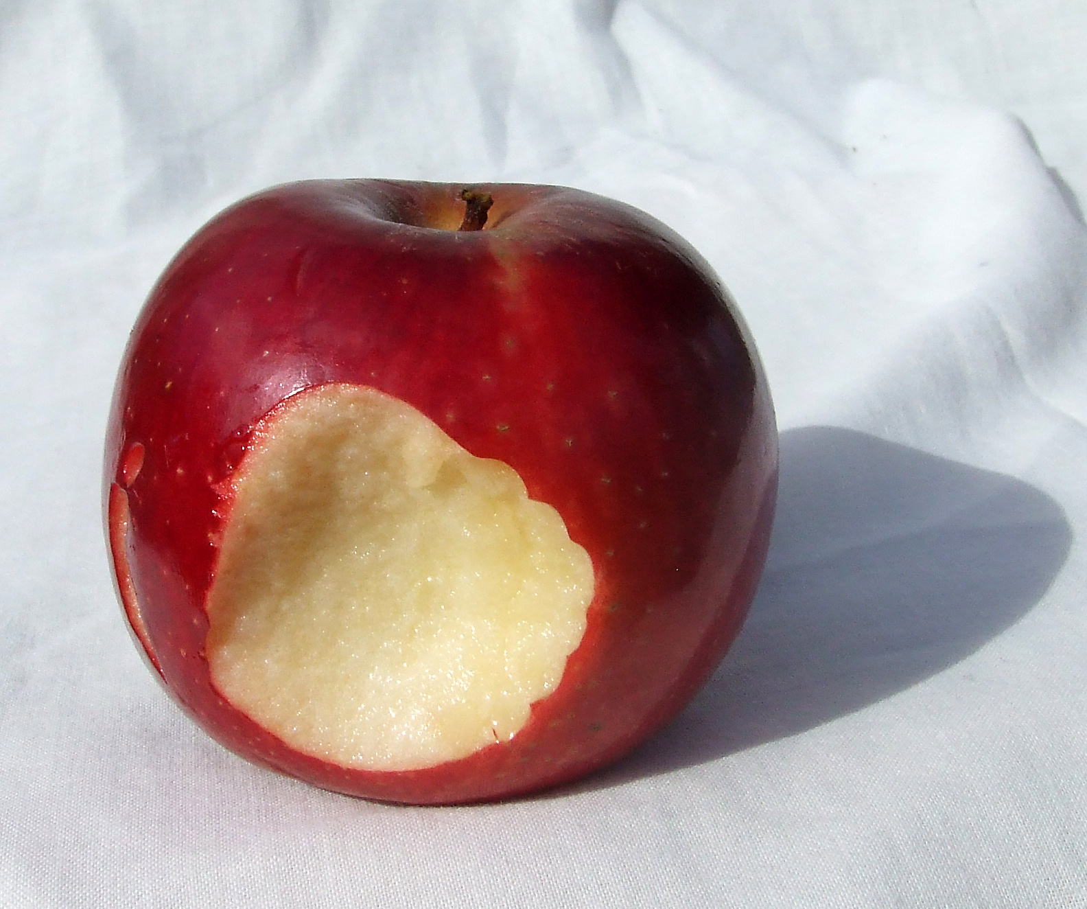 Biten Apple