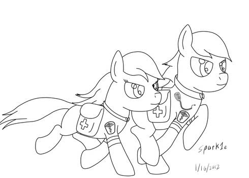 Scott's request, EMT ponies