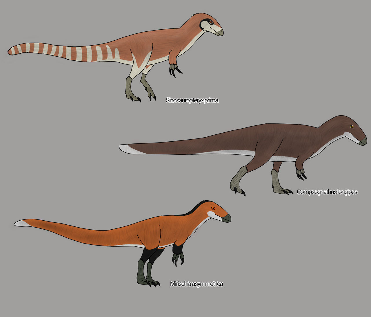 Compys by USB262 on DeviantArt