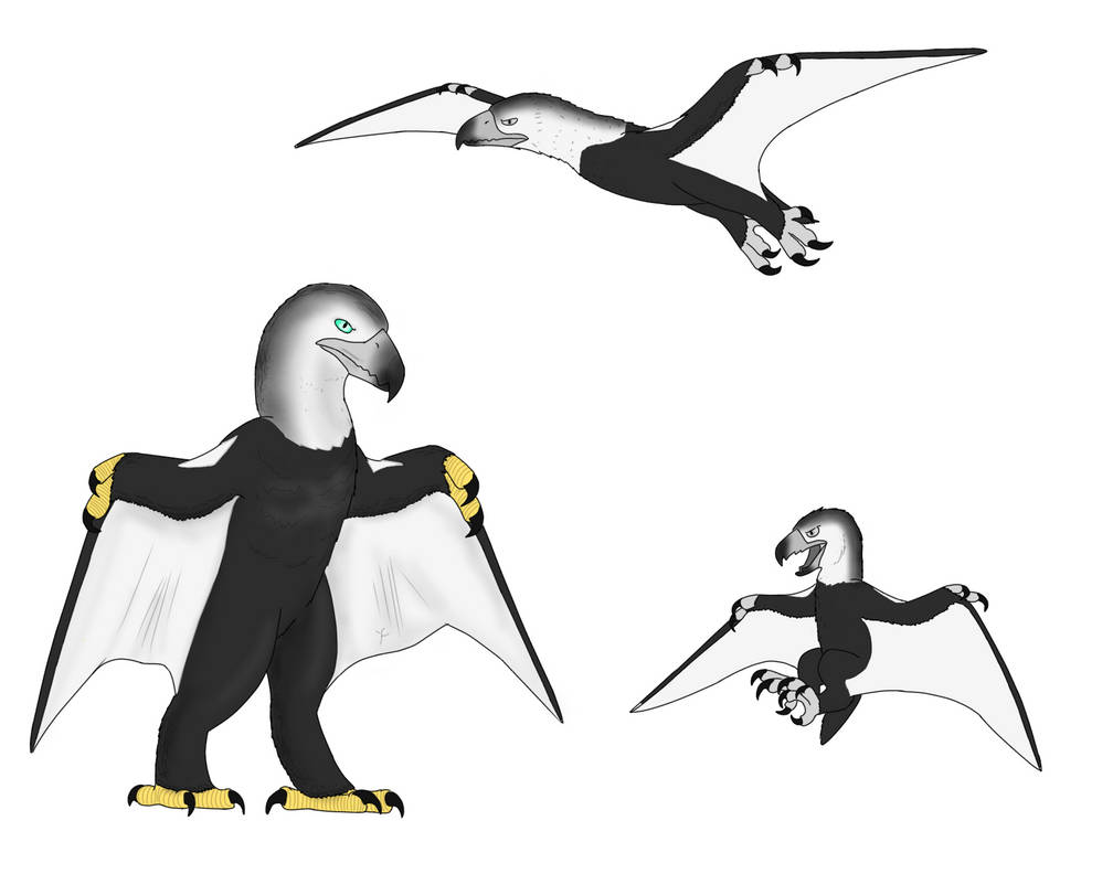 Andes Raptors Hunter of the Andes. by USB262 on DeviantArt