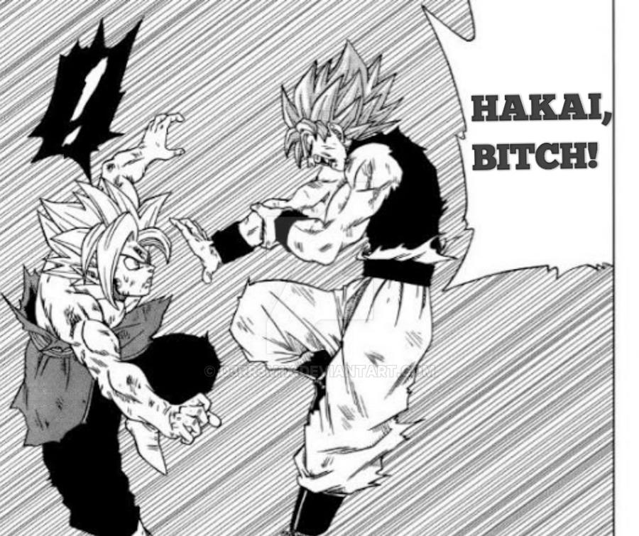 GOKU USES HAKAI VS MERGED ZAMASU by D3RR3M1X on DeviantArt