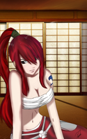 Erza Scarlet ~ Fairy Tail