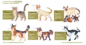 WINDCLAN // auction: closed