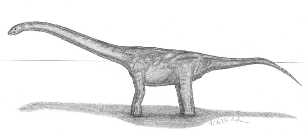 Euhelopus zdansky